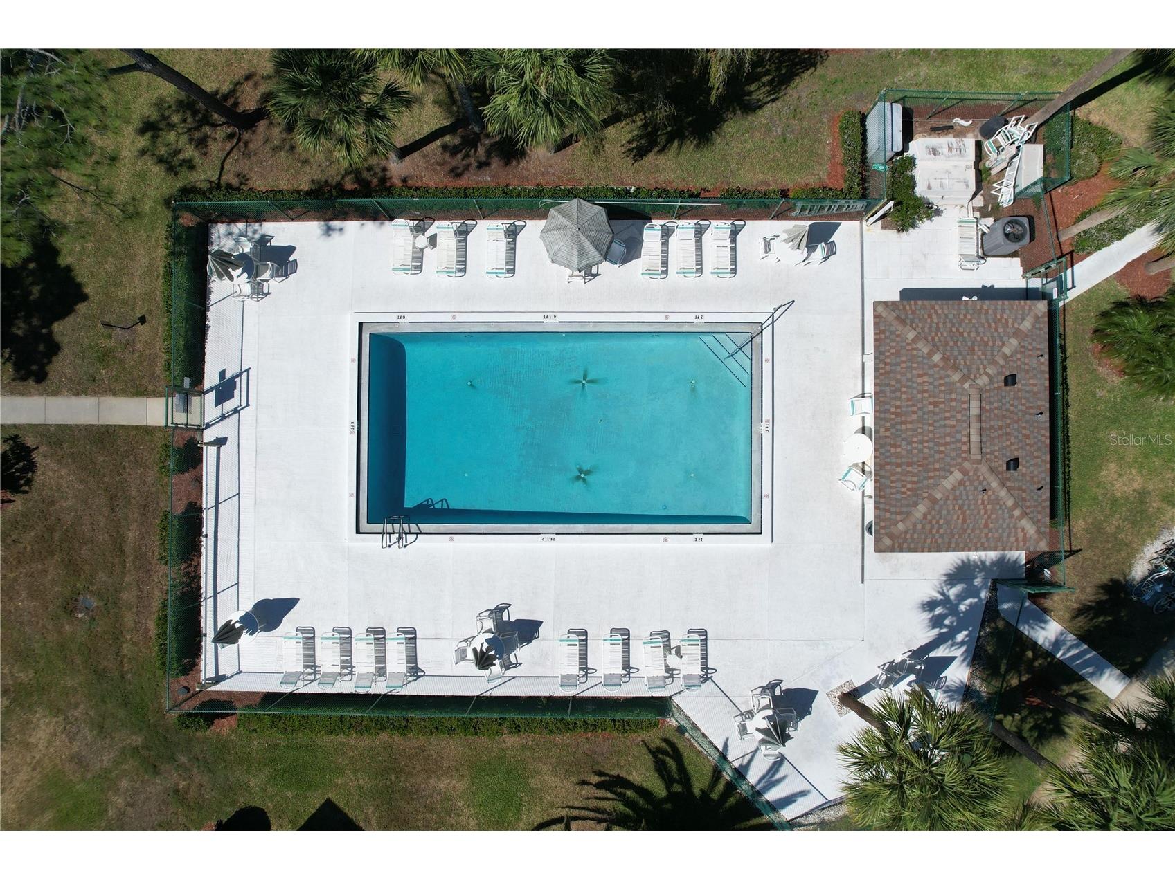 202 Meadow Lane #50 Oldsmar FL 34677 TB8505503 image30