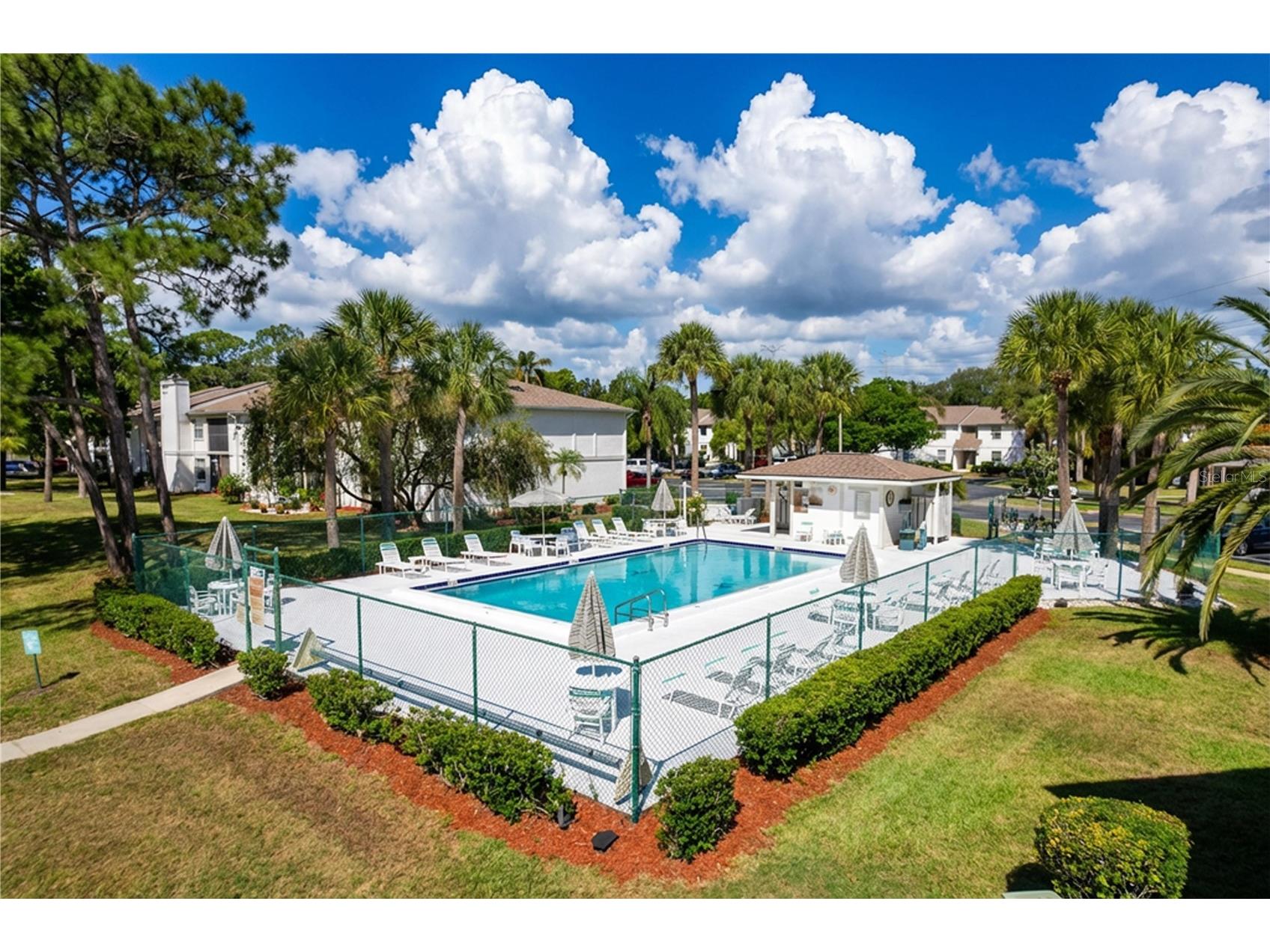 202 Meadow Lane #50 Oldsmar FL 34677 TB8505503 image31