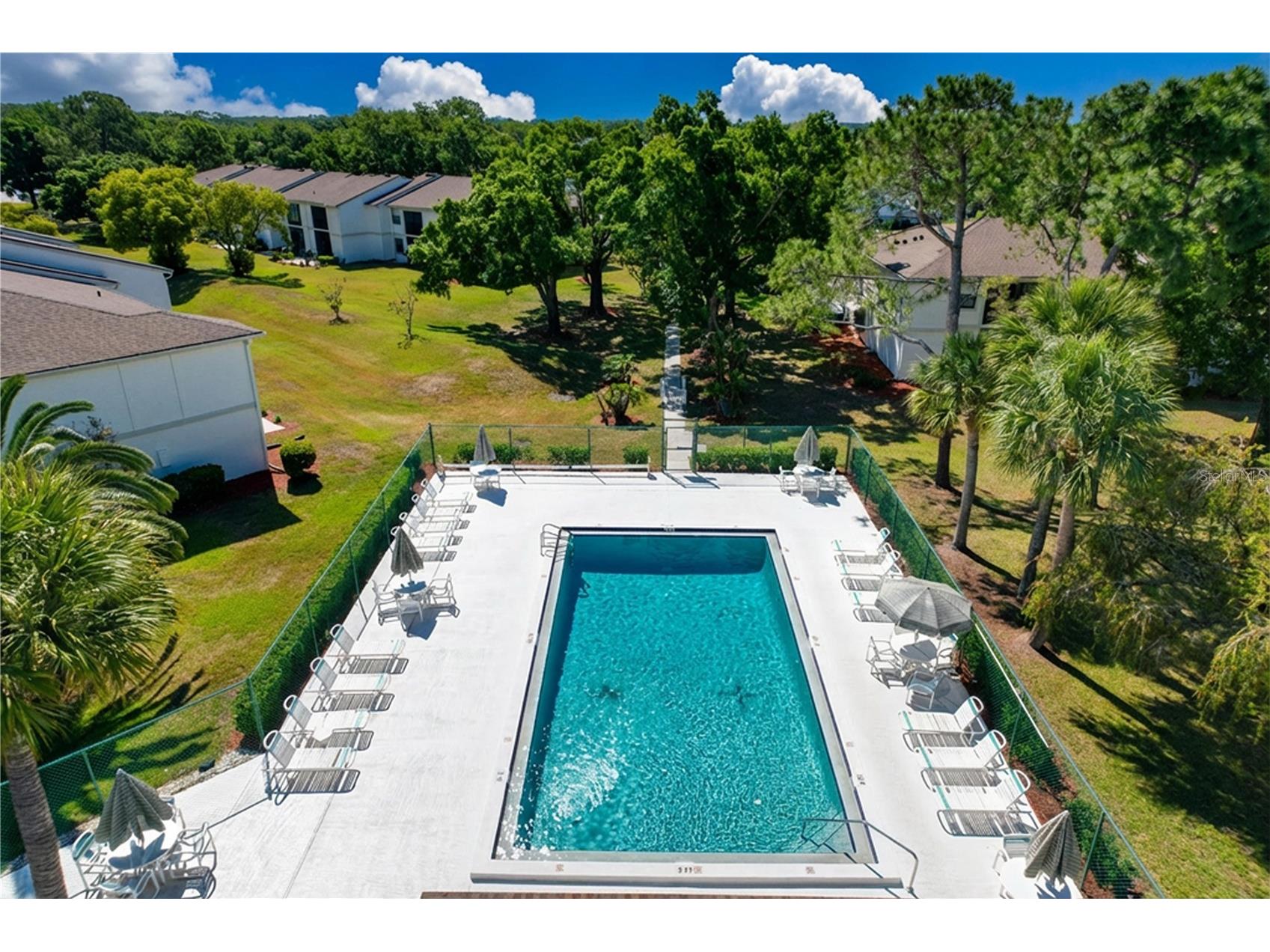 202 Meadow Lane #50 Oldsmar FL 34677 TB8505503 image32