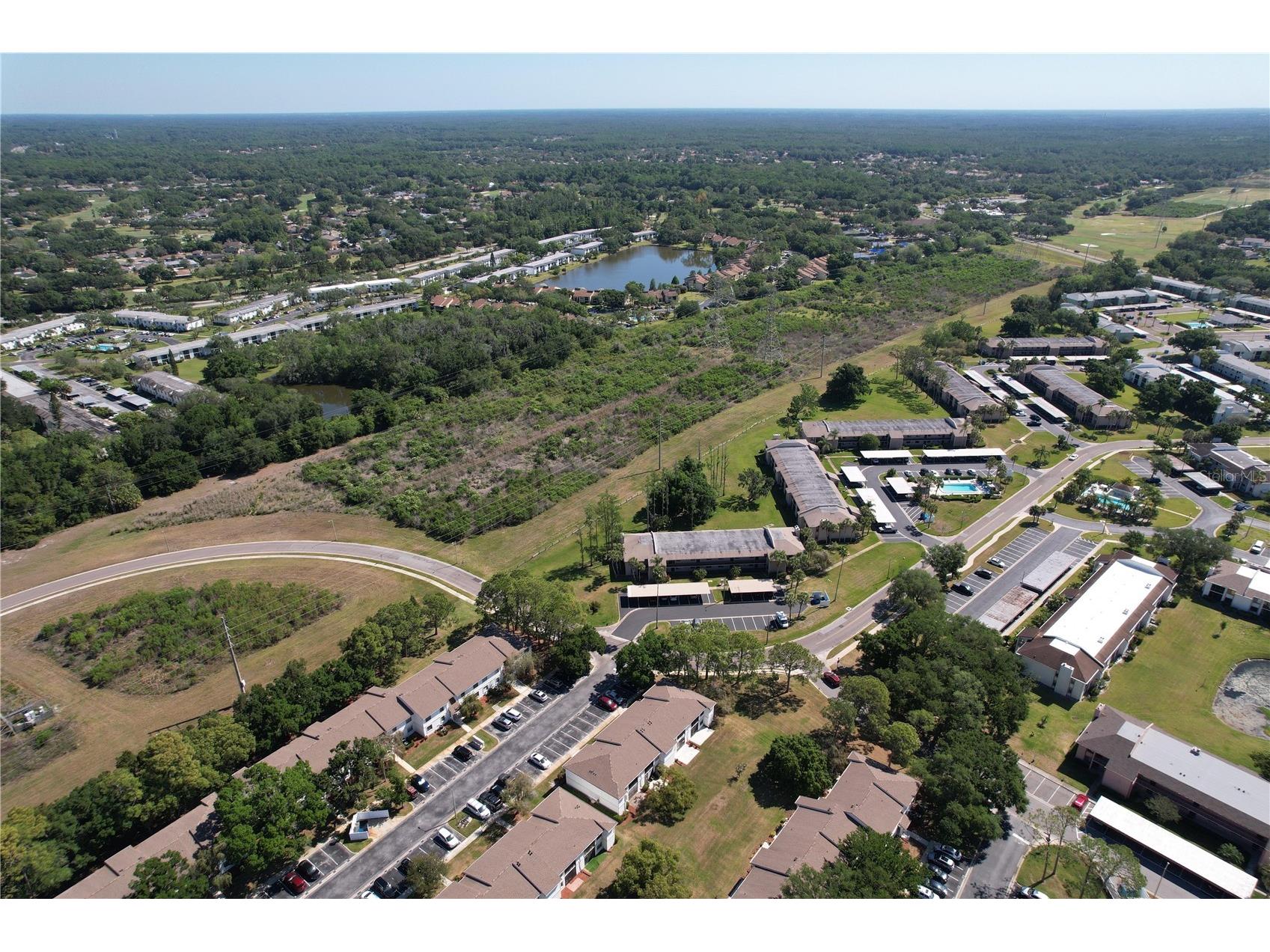 202 Meadow Lane #50 Oldsmar FL 34677 TB8505503 image35