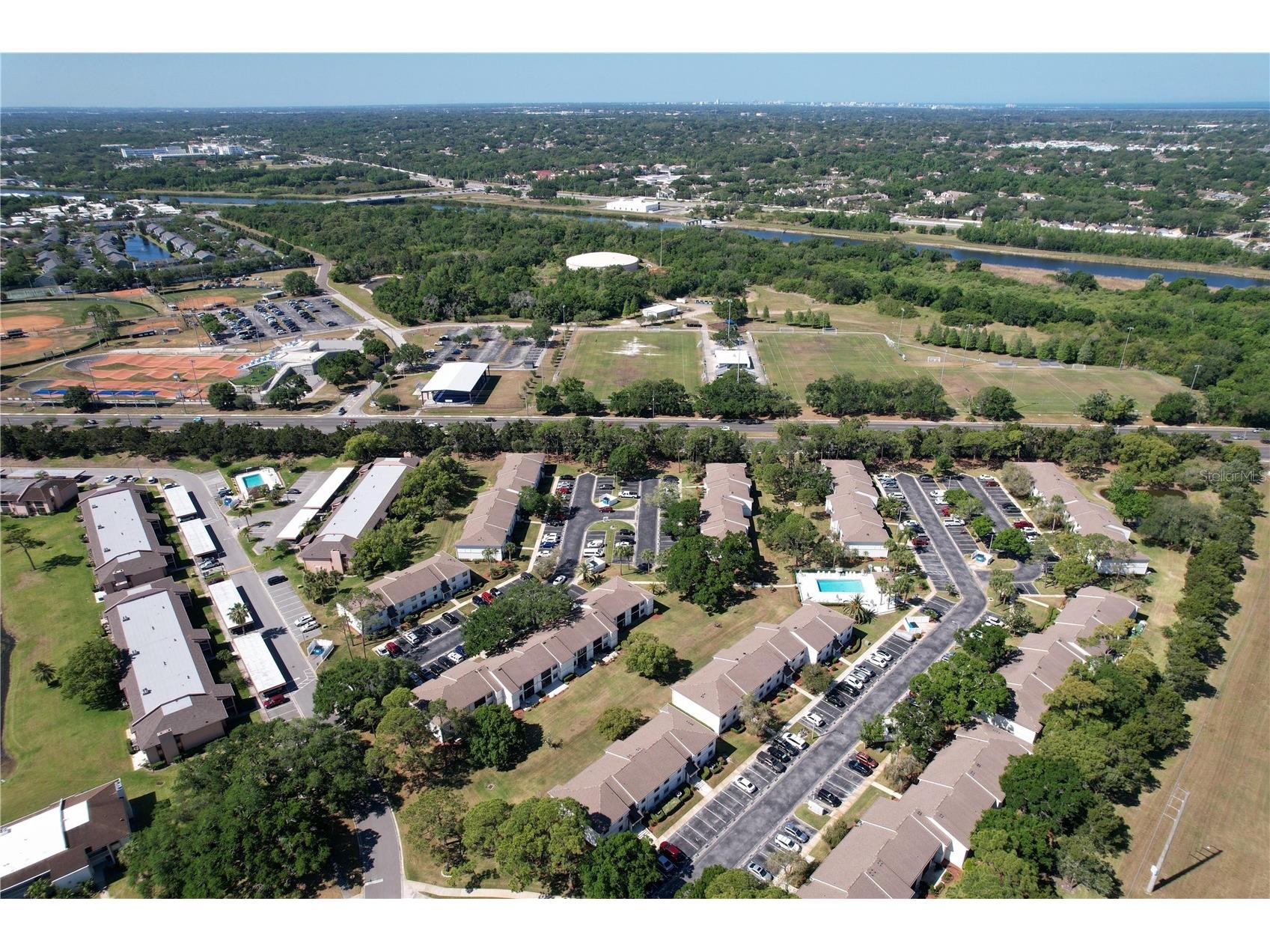202 Meadow Lane #50 Oldsmar FL 34677 TB8505503 image36