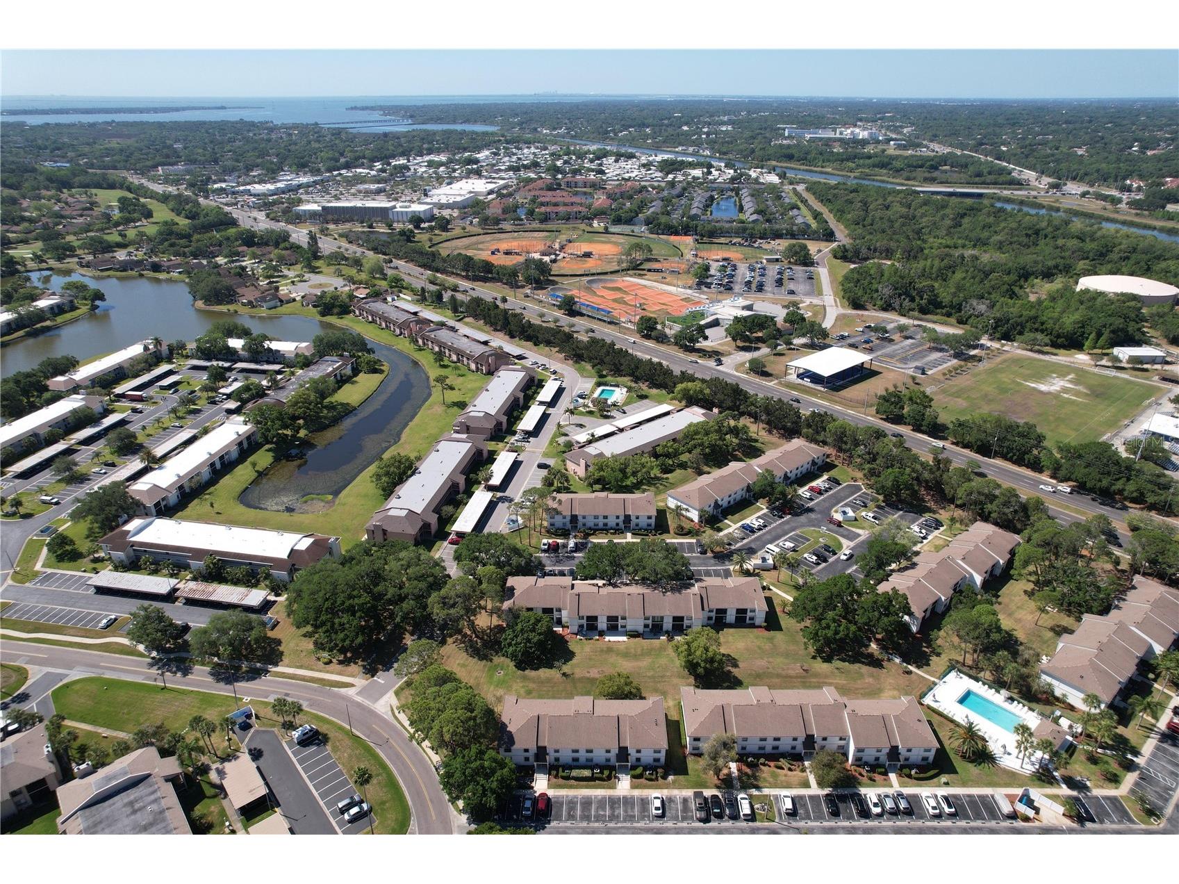 202 Meadow Lane #50 Oldsmar FL 34677 TB8505503 image38