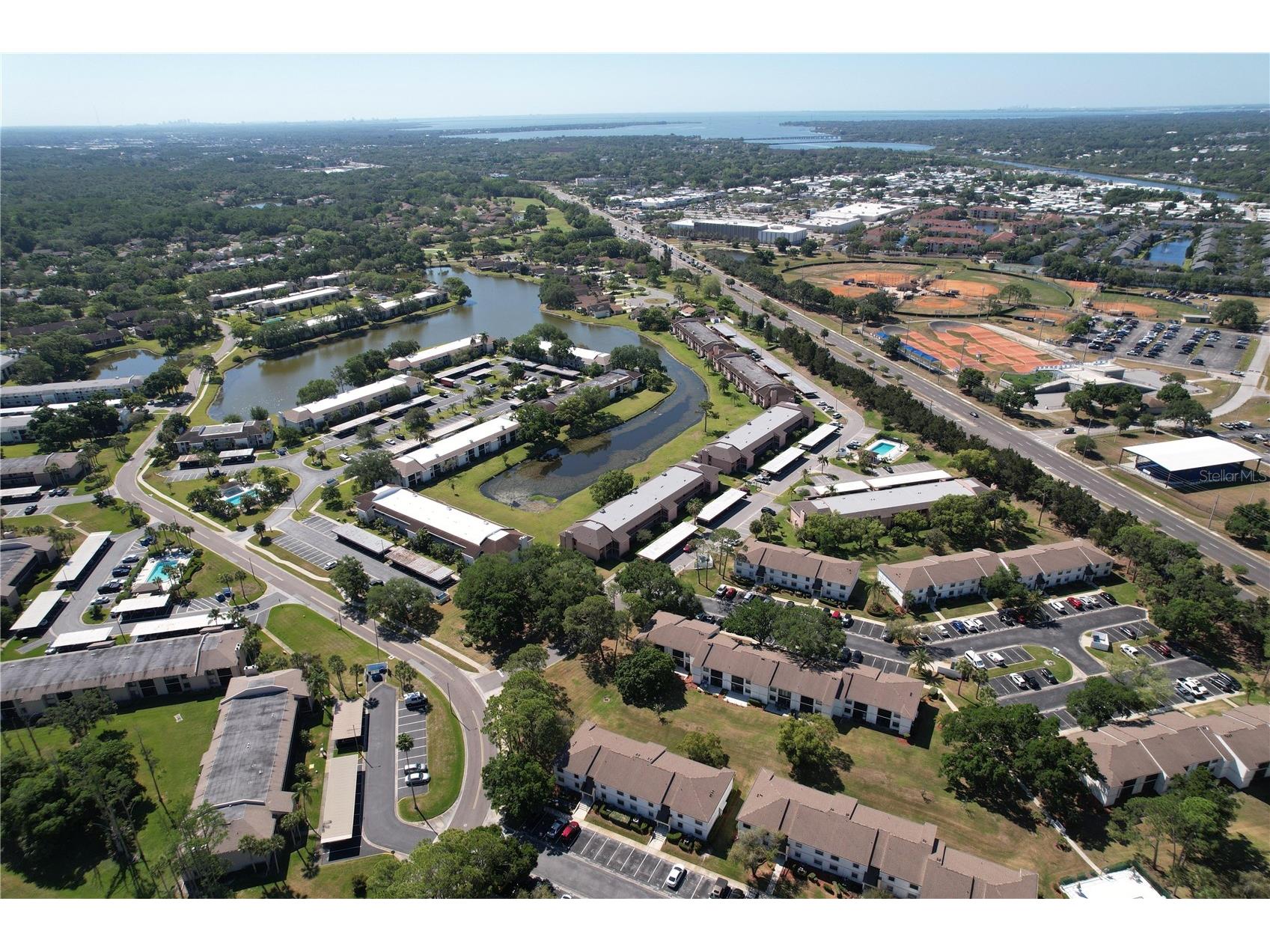 202 Meadow Lane #50 Oldsmar FL 34677 TB8505503 image39