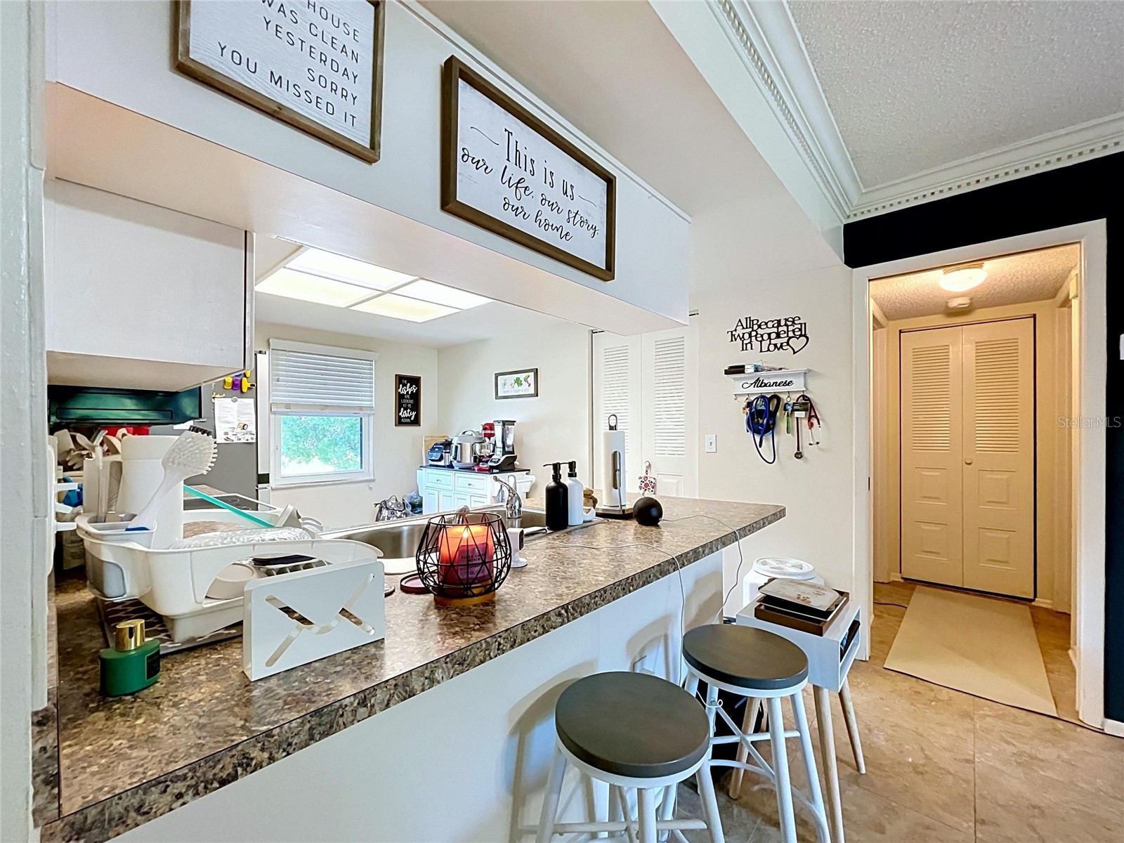 202 Meadow Lane #50 Oldsmar FL 34677 TB8505503 image4