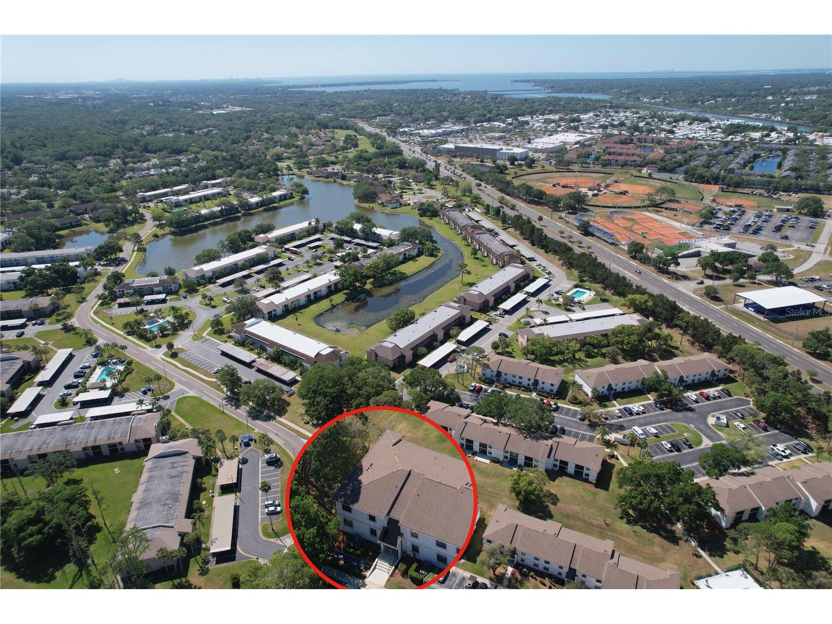 202 Meadow Lane #50 Oldsmar FL 34677 TB8505503 image40
