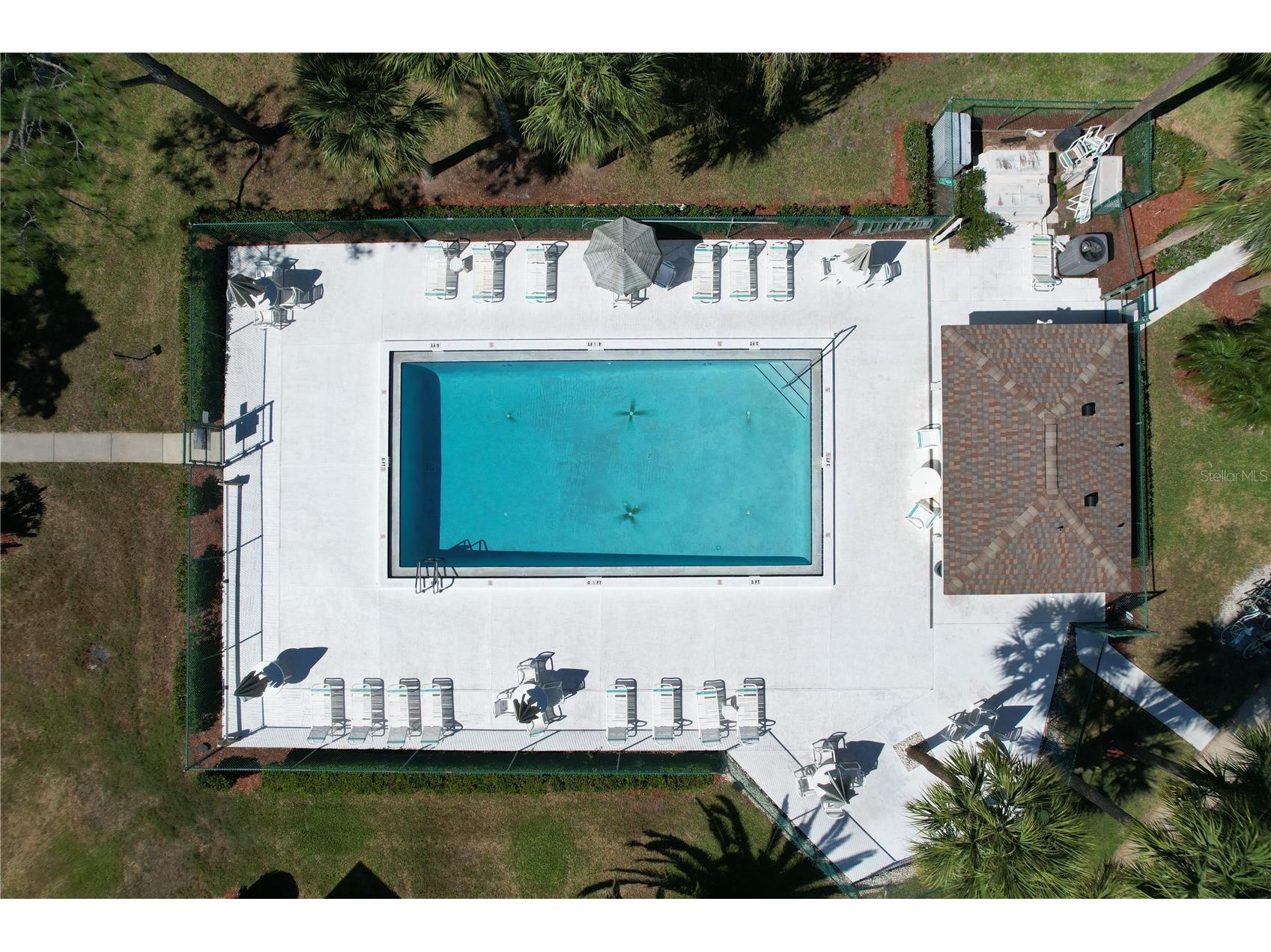202 Meadow Lane #50 Oldsmar FL 34677 TB8505503 image43