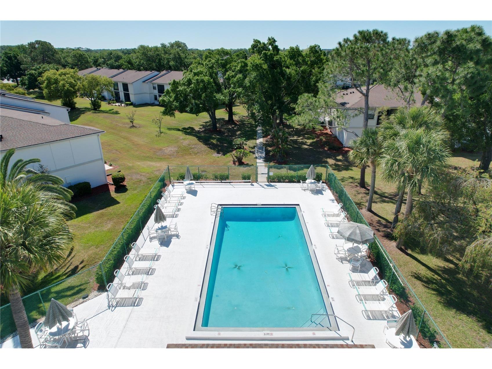 202 Meadow Lane #50 Oldsmar FL 34677 TB8505503 image44