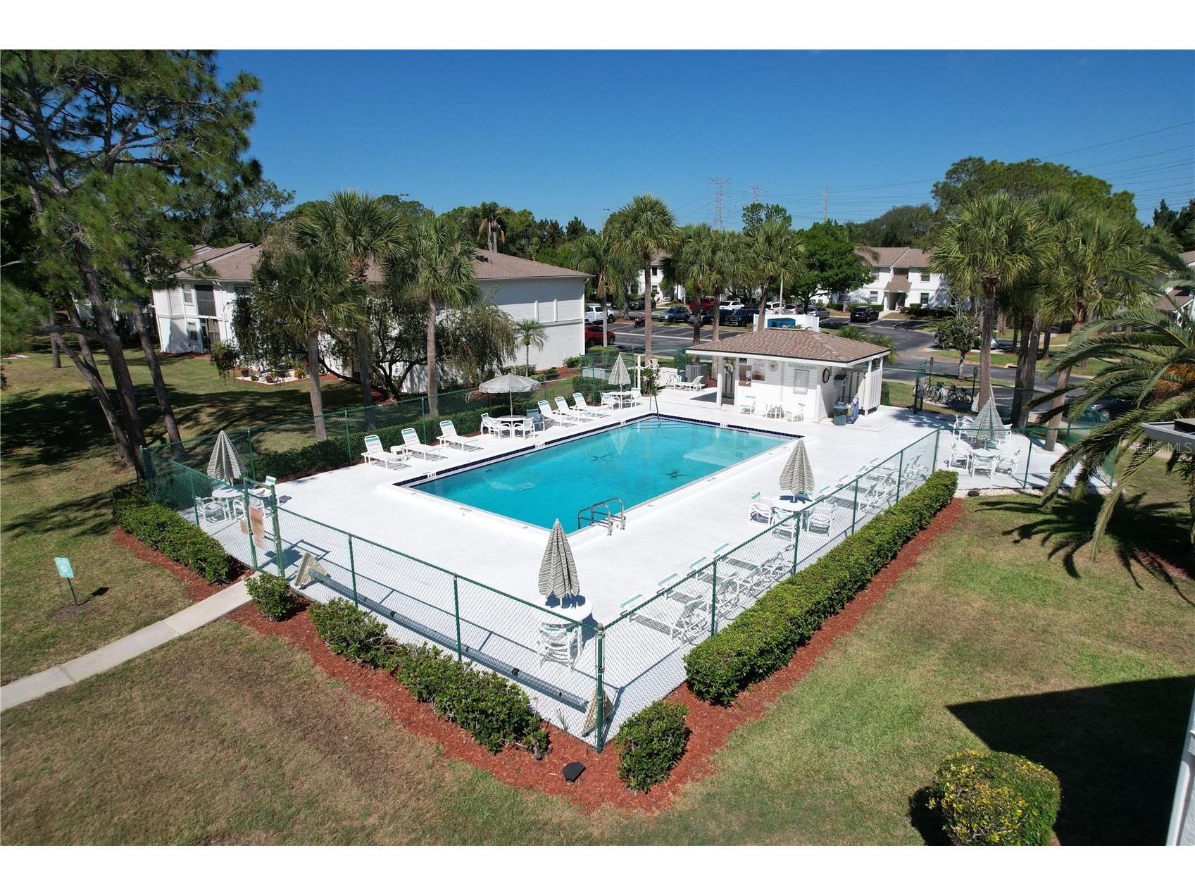 202 Meadow Lane #50 Oldsmar FL 34677 TB8505503 image45