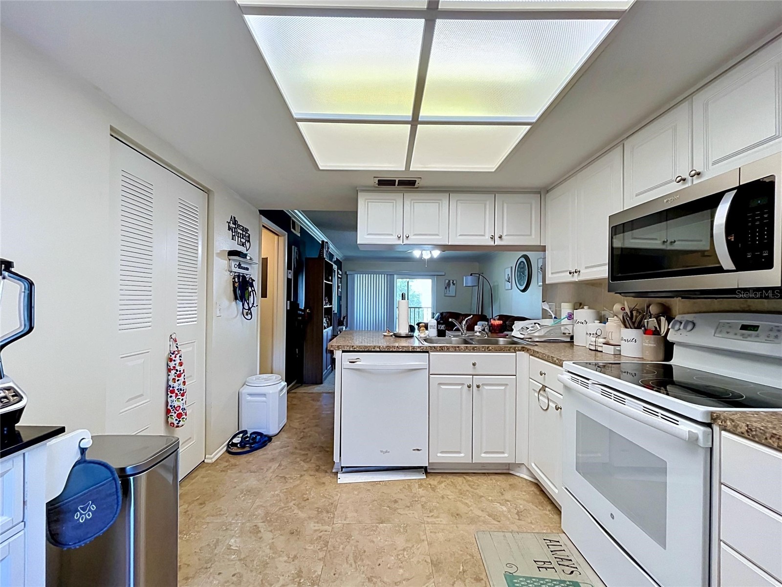202 Meadow Lane #50 Oldsmar FL 34677 TB8505503 image8