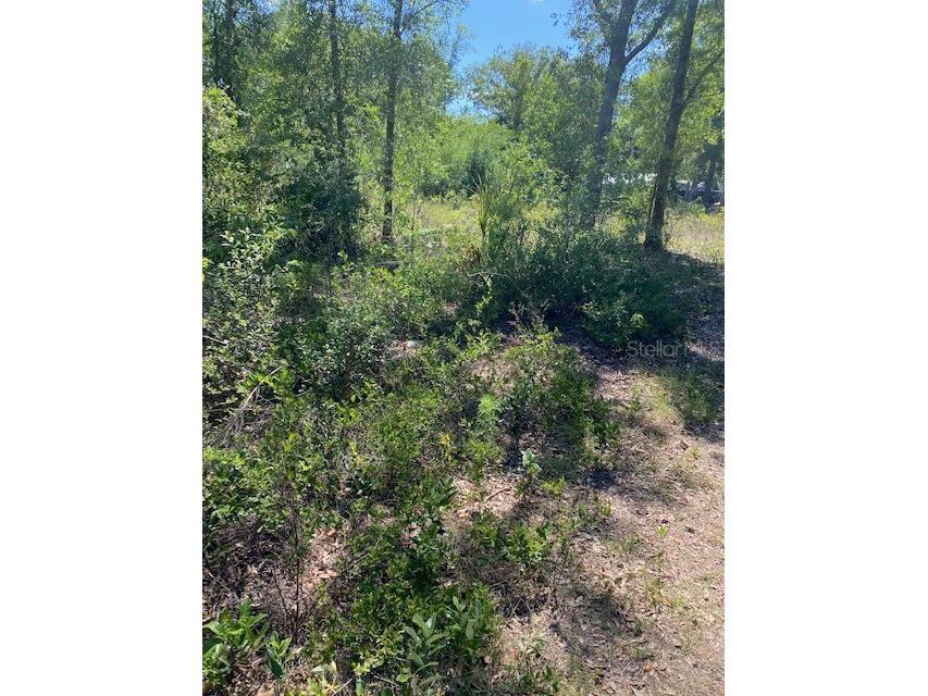 202 NE 72nd Terrace Ocala FL 34470 O6105683 image1