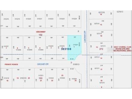 202 Orchid Drive Indian Lake Estates FL 33855 O6312419 image2