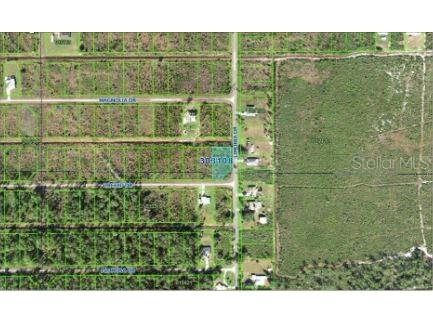 202 Orchid Drive Indian Lake Estates FL 33855 O6312419 image4