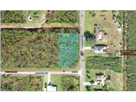 202 Orchid Drive Indian Lake Estates FL 33855 O6312419 image5