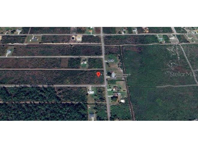 202 Orchid Drive Indian Lake Estates FL 33855 O6312419 image6