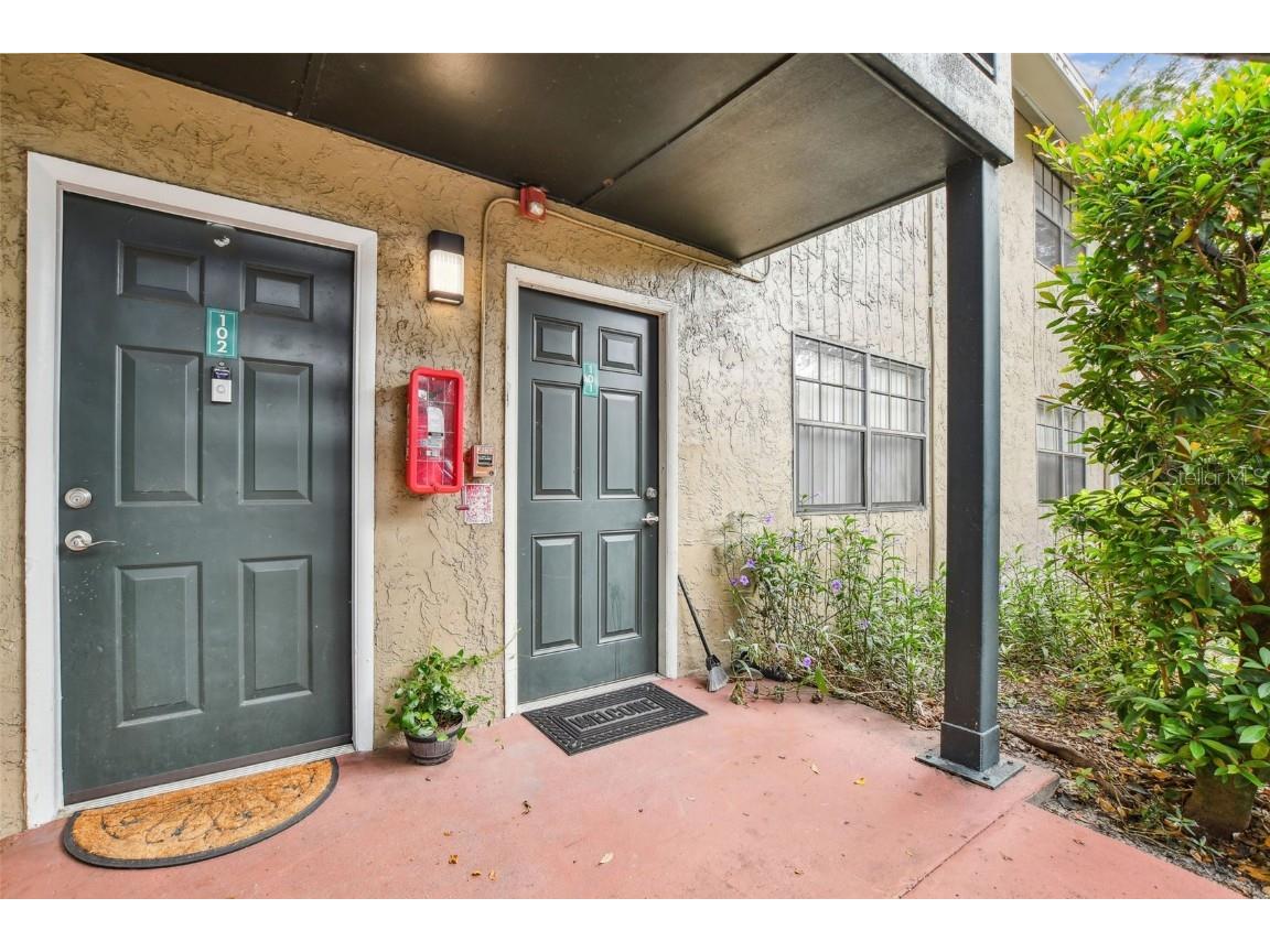 202 Pine Tulip Court #101 Tampa FL 33612 T3476590 image1