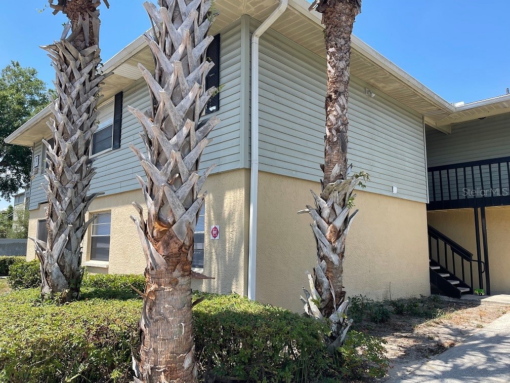 202 Red Maple Place #202 Brandon FL 33510 T3532779 image1