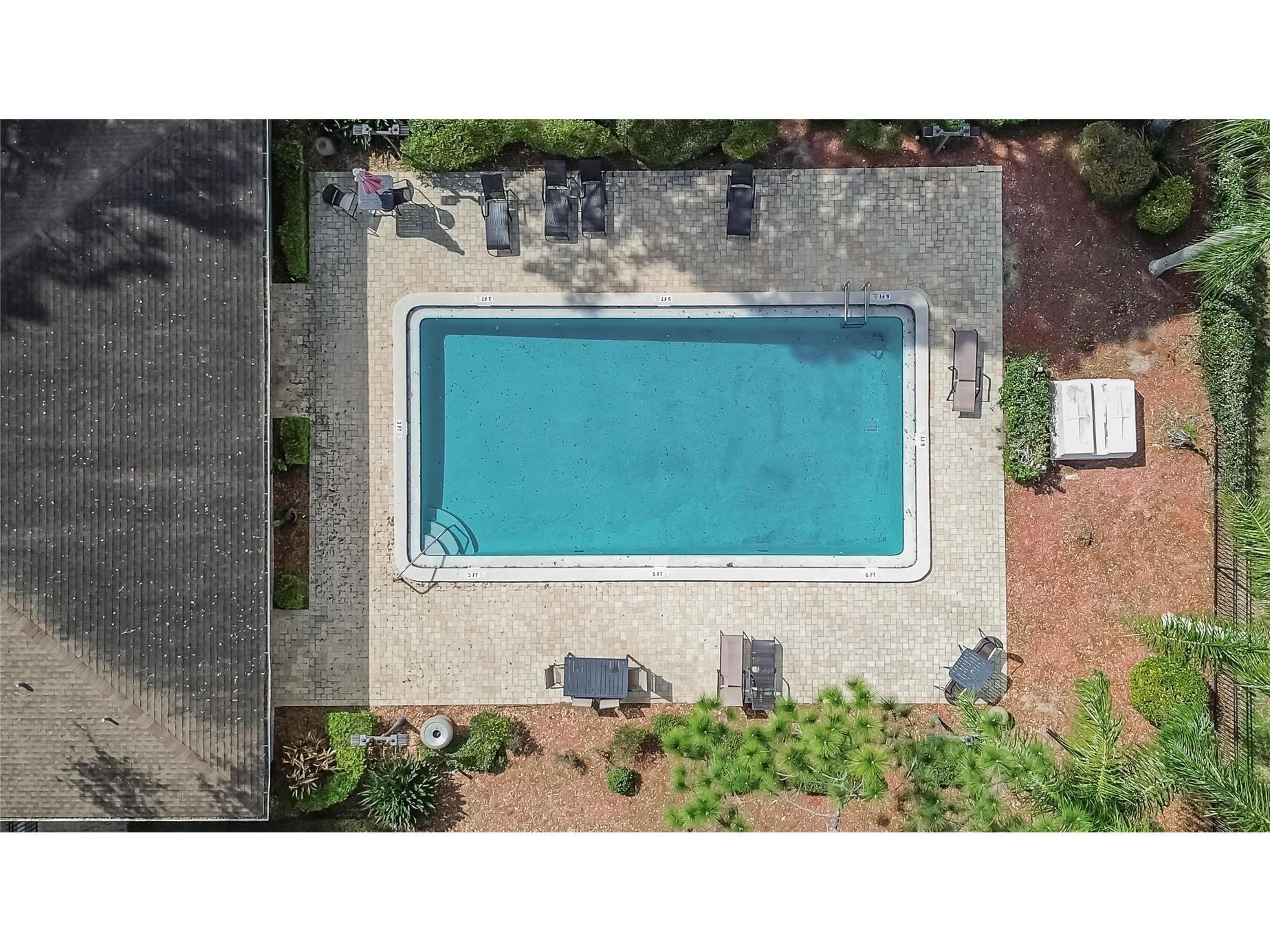202 Red Maple Place #202 Brandon FL 33510 TB8515048 image52