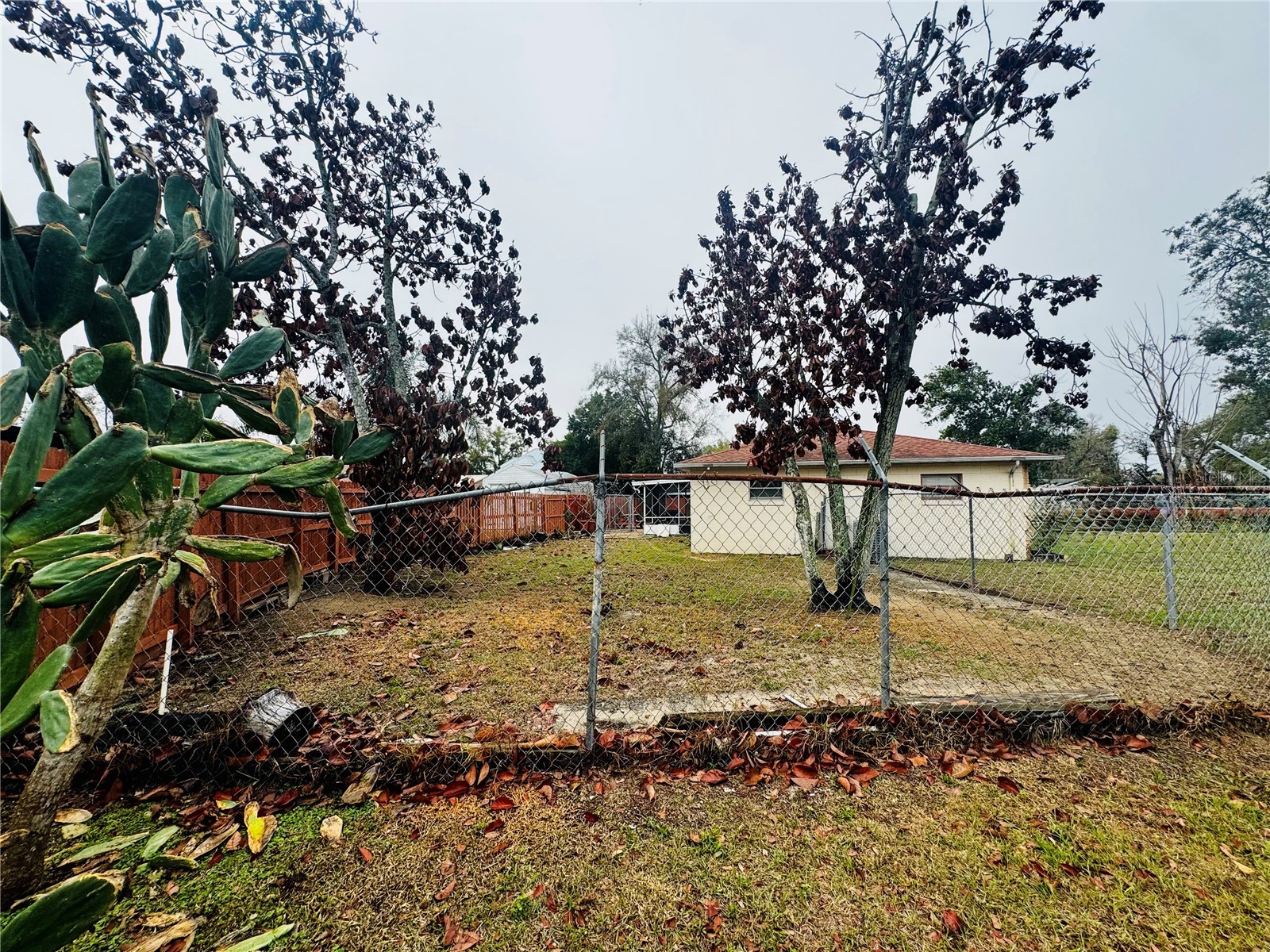 202 S Bingham Street Eagle Lake FL 33839 P4938045 image29