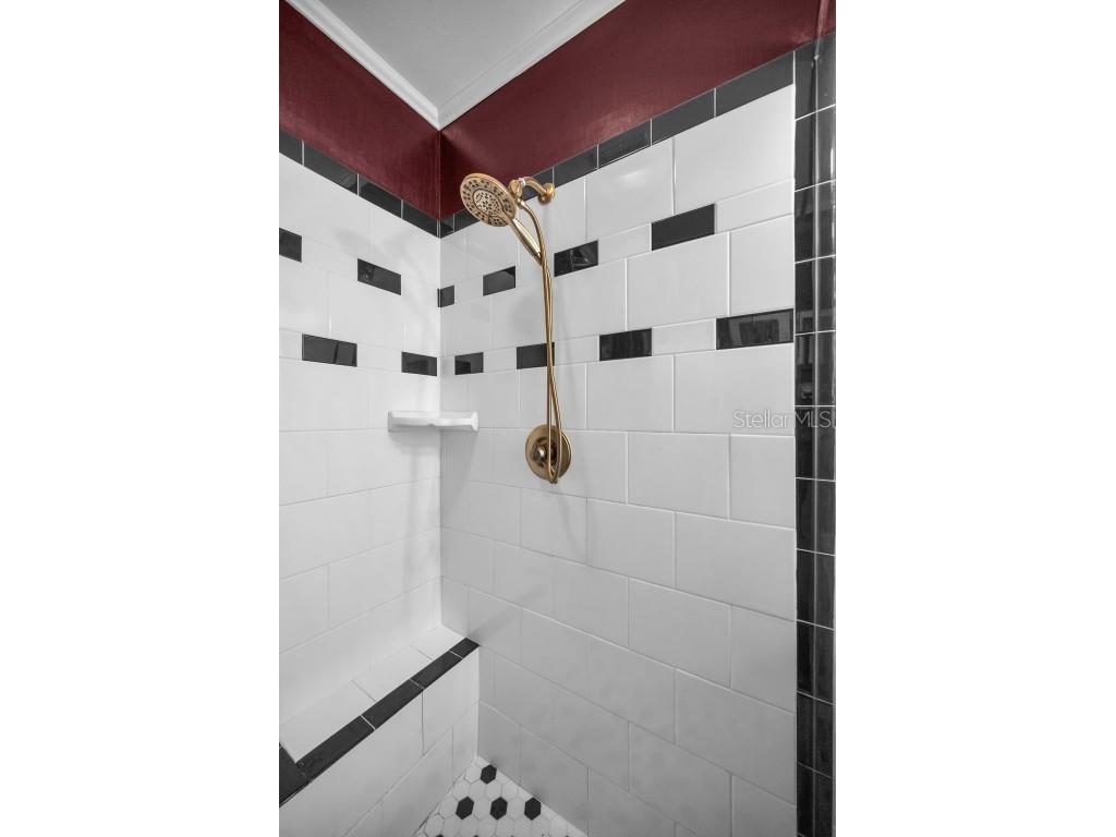 202 S Hesperides Street Tampa FL 33609 TB8437627 image43