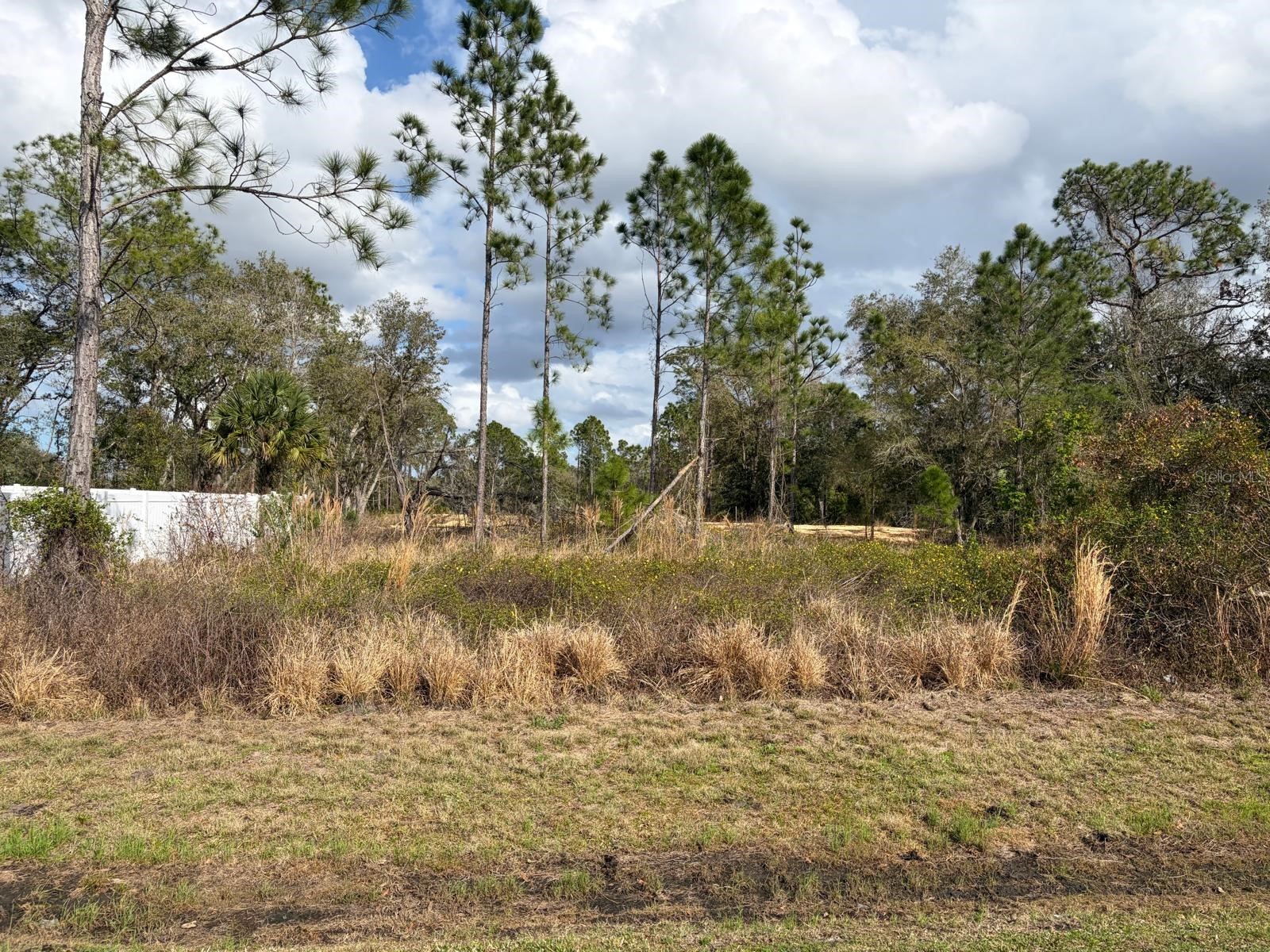 202 Spoonbill Drive Poinciana FL 34759 S5145070 image1