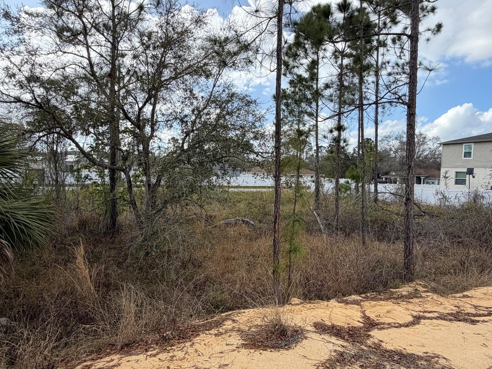 202 Spoonbill Drive Poinciana FL 34759 S5145070 image15