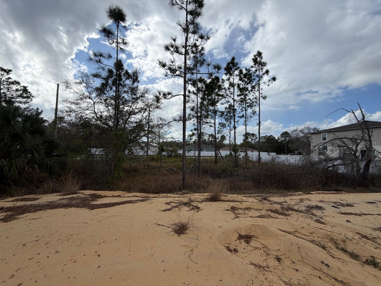 202 Spoonbill Drive Poinciana FL 34759 S5145070 image16