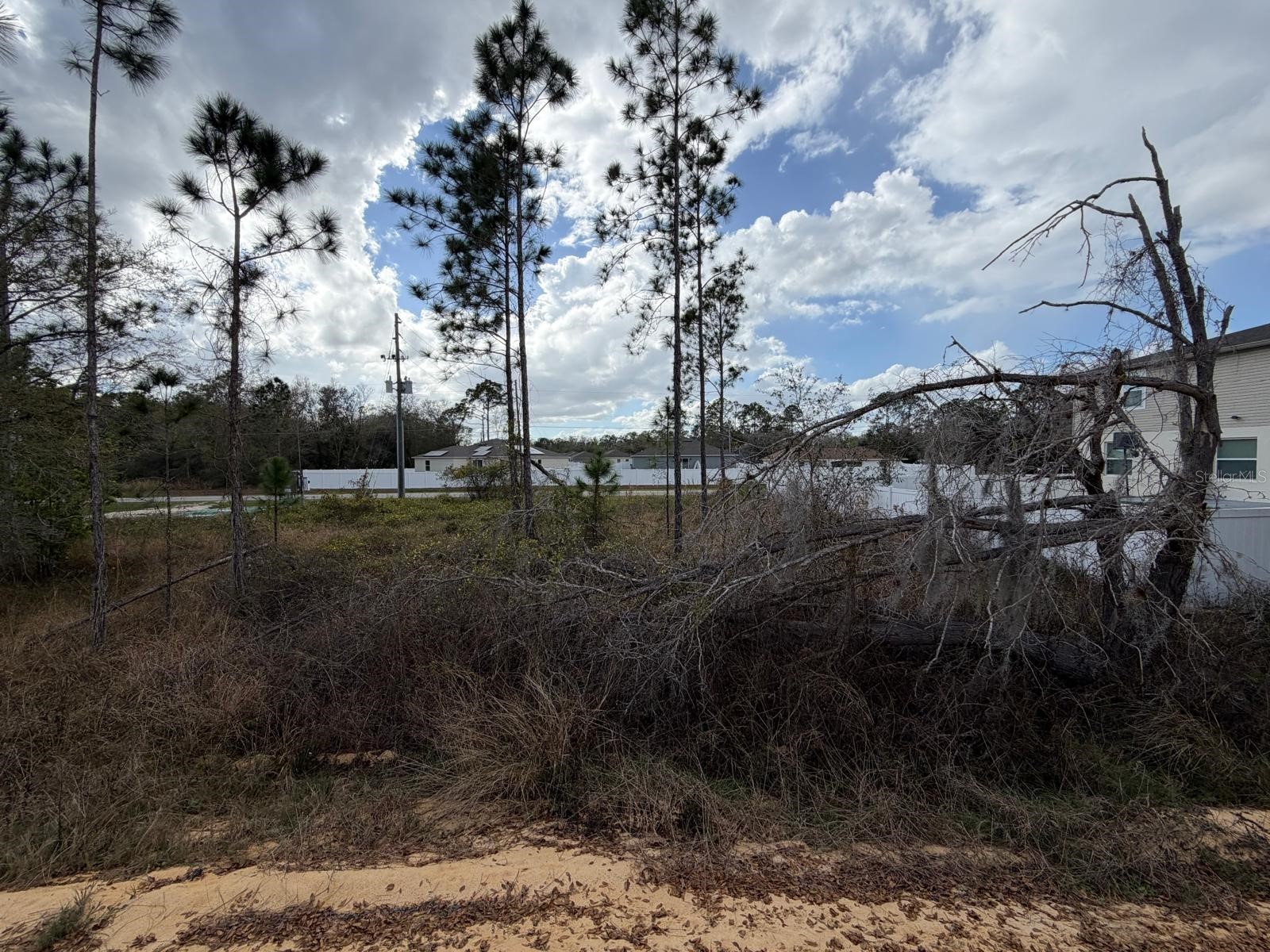 202 Spoonbill Drive Poinciana FL 34759 S5145070 image17