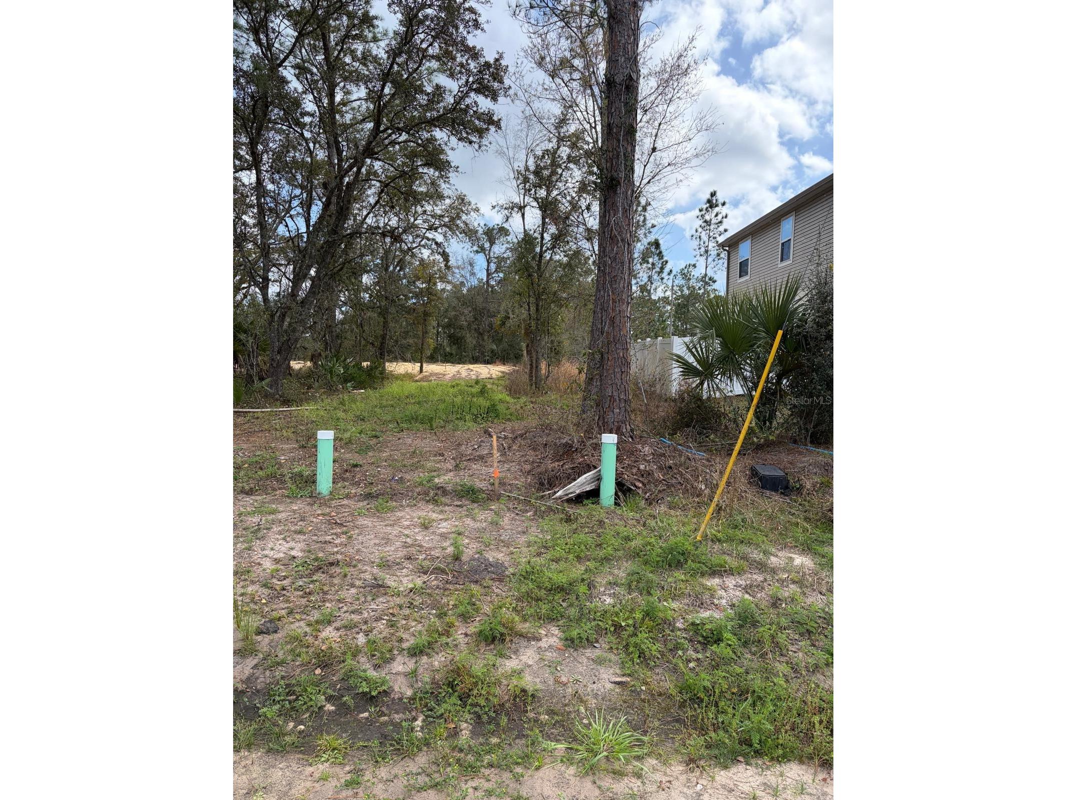 202 Spoonbill Drive Poinciana FL 34759 S5145070 image19