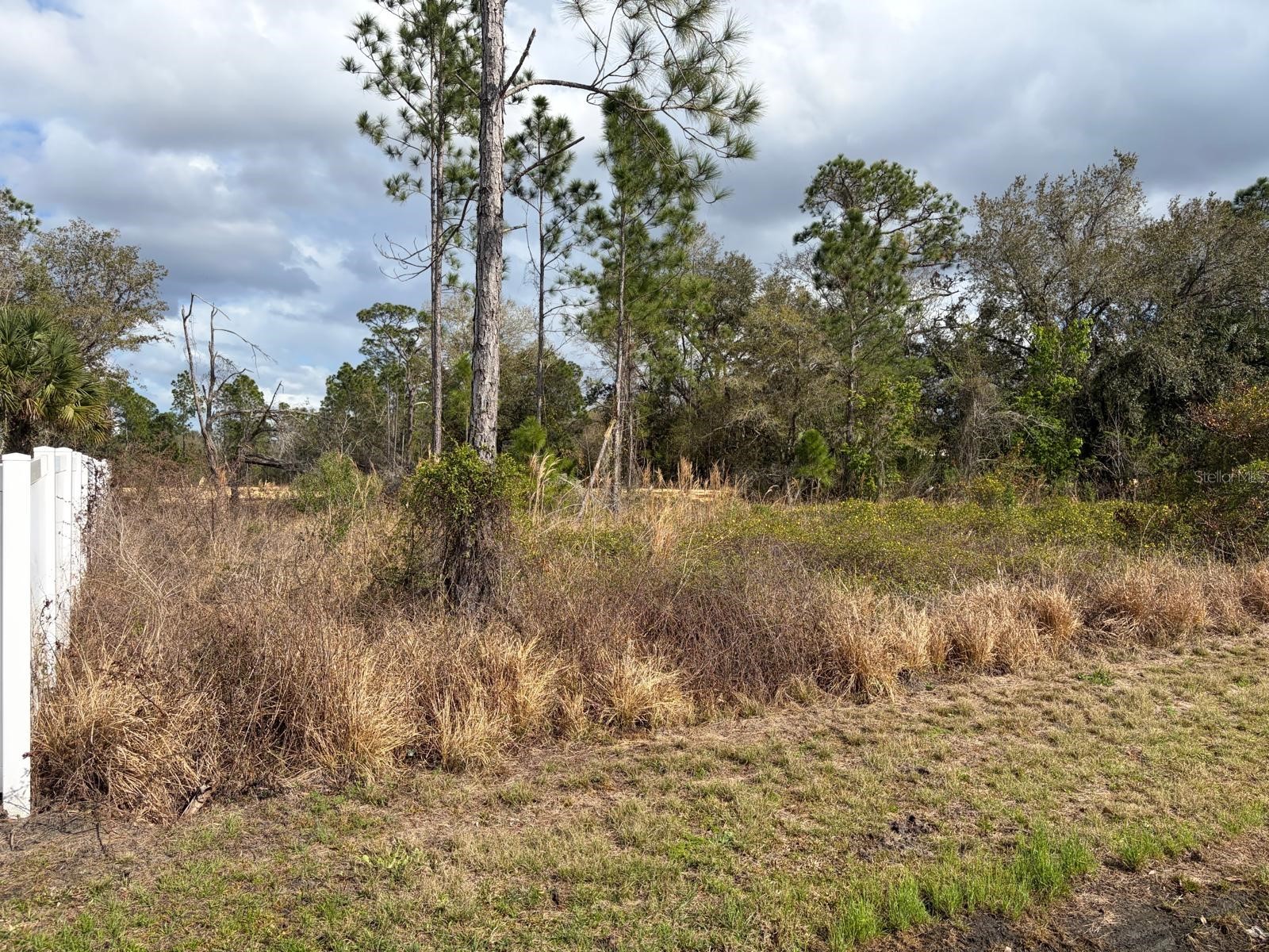 202 Spoonbill Drive Poinciana FL 34759 S5145070 image2