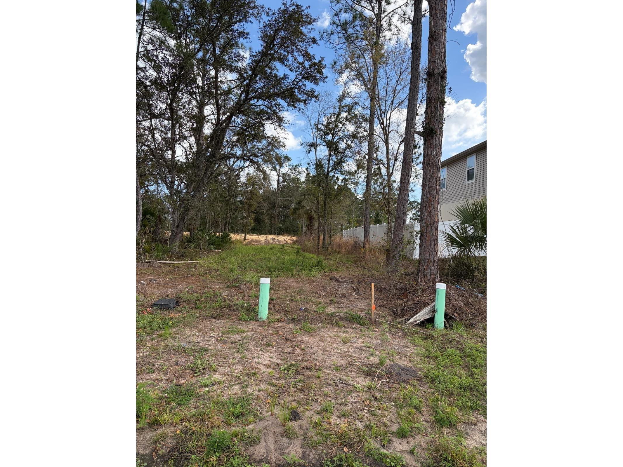 202 Spoonbill Drive Poinciana FL 34759 S5145070 image20