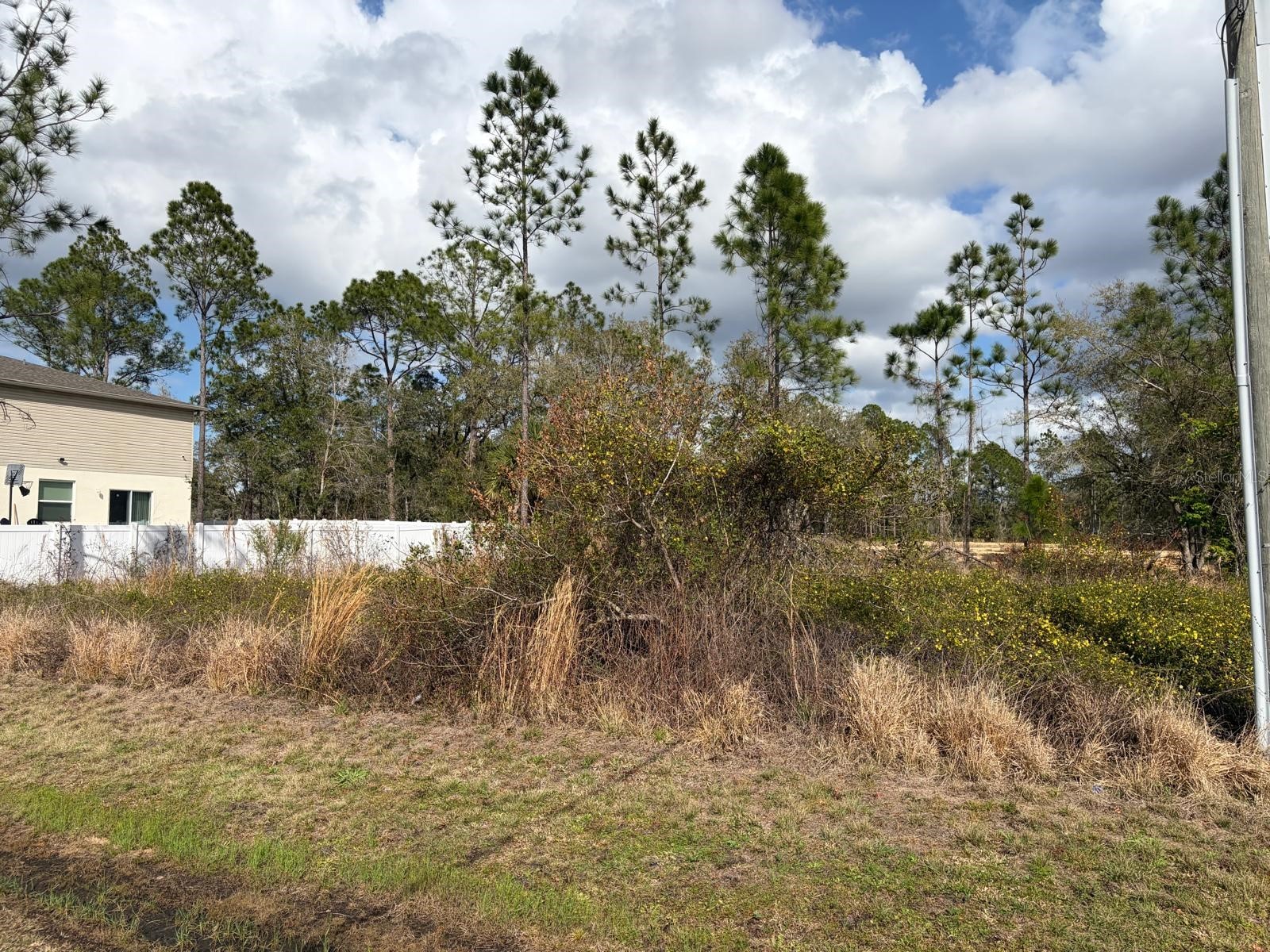 202 Spoonbill Drive Poinciana FL 34759 S5145070 image3