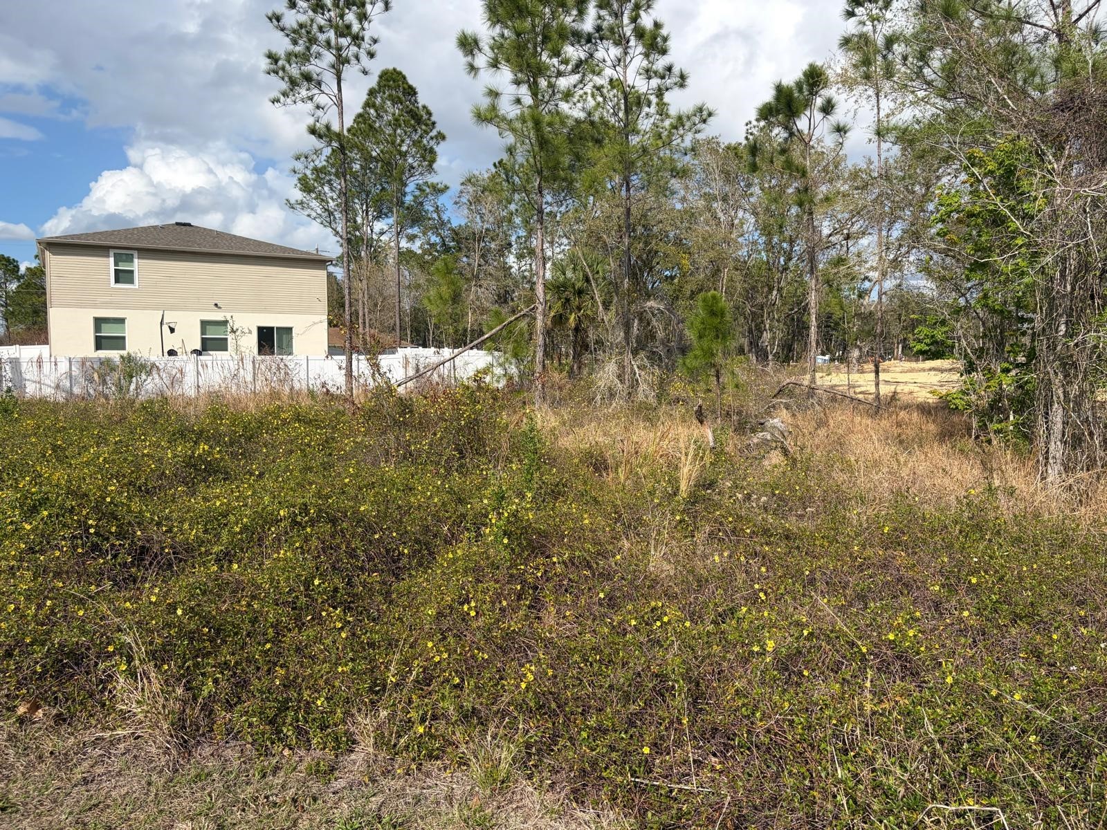 202 Spoonbill Drive Poinciana FL 34759 S5145070 image5