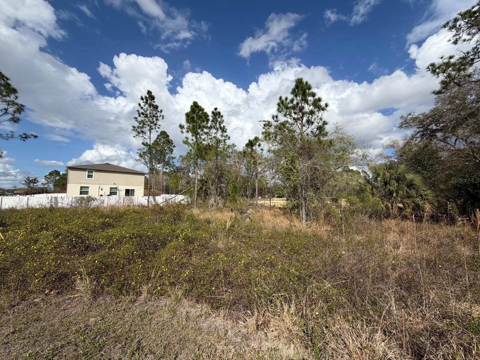 202 Spoonbill Drive Poinciana FL 34759 S5145070 image6