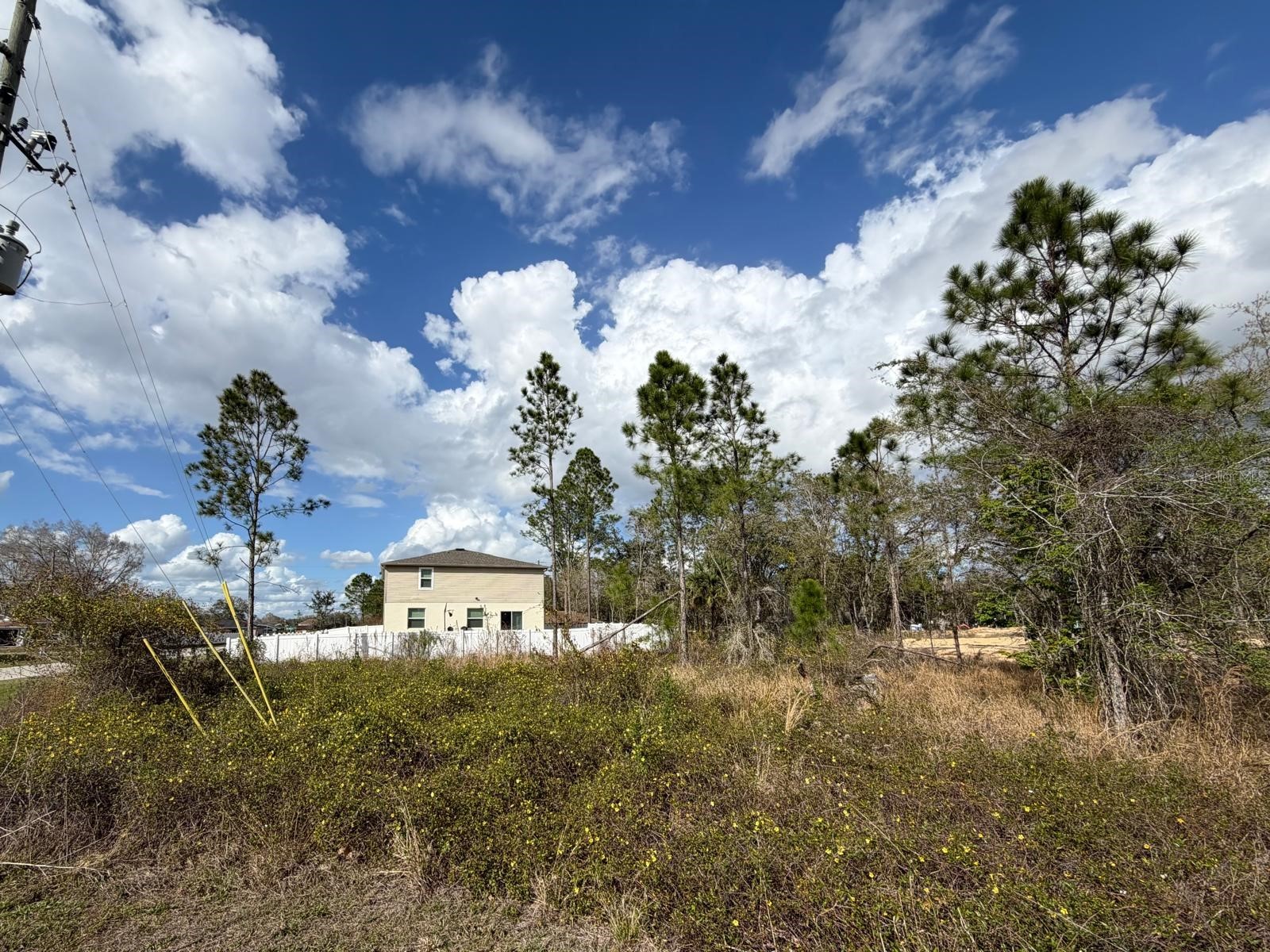 202 Spoonbill Drive Poinciana FL 34759 S5145070 image7