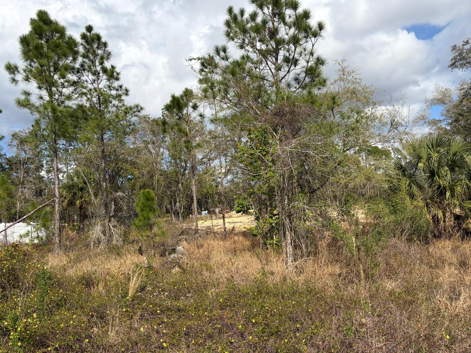 202 Spoonbill Drive Poinciana FL 34759 S5145070 image8