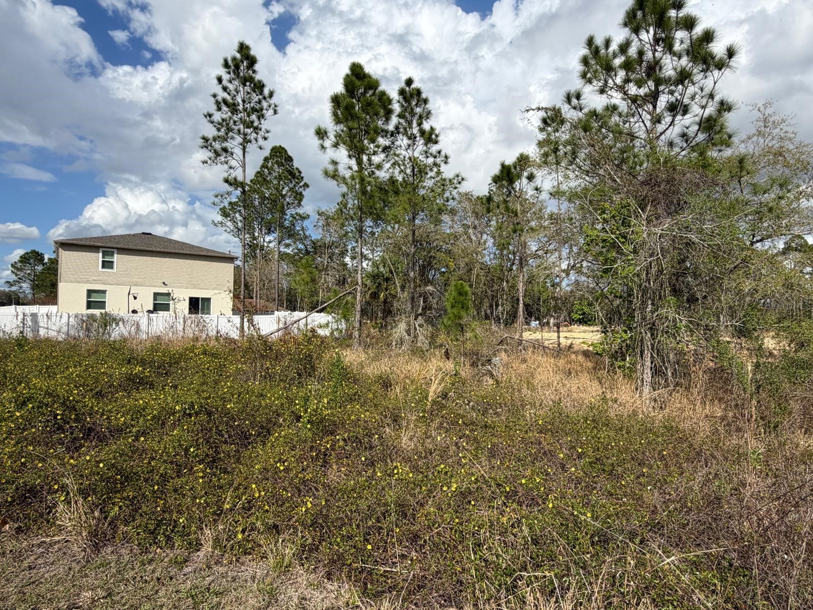 202 Spoonbill Drive Poinciana FL 34759 S5145070 image9