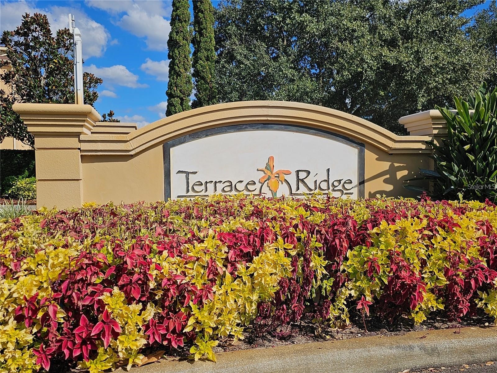 202 Terrace Ridge Circle #202 Davenport FL 33896 O6407367 image13