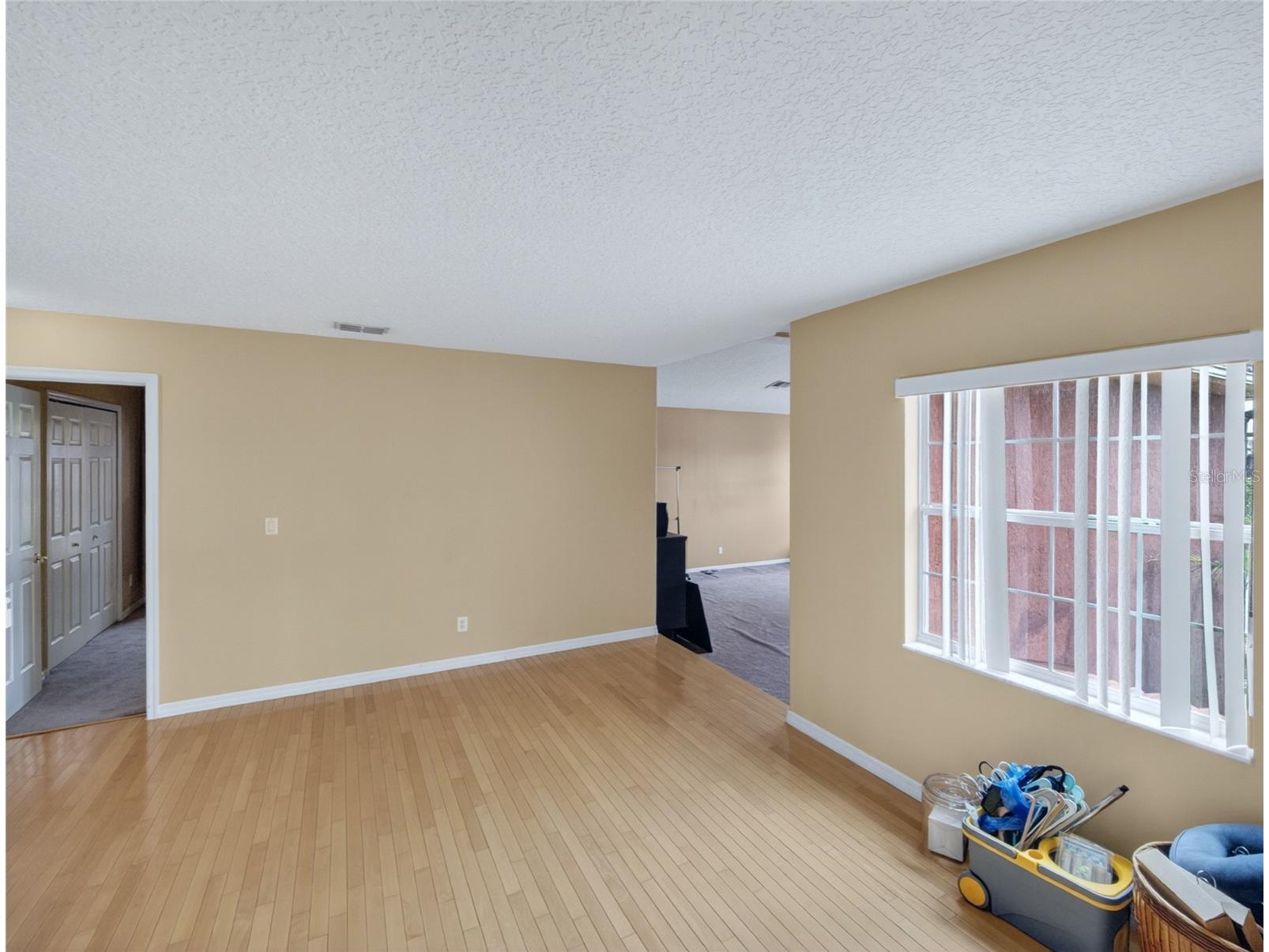 202 Woodson Court Kissimmee FL 34744 O6414003 image37