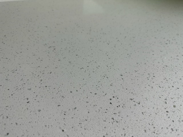 2020 13th Street S Saint Petersburg FL 33705 TB8472600 image11