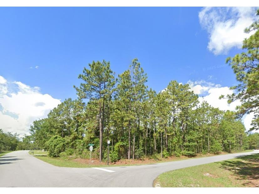 2020 Cr 243 B Wildwood FL 34785 O6396870 image12