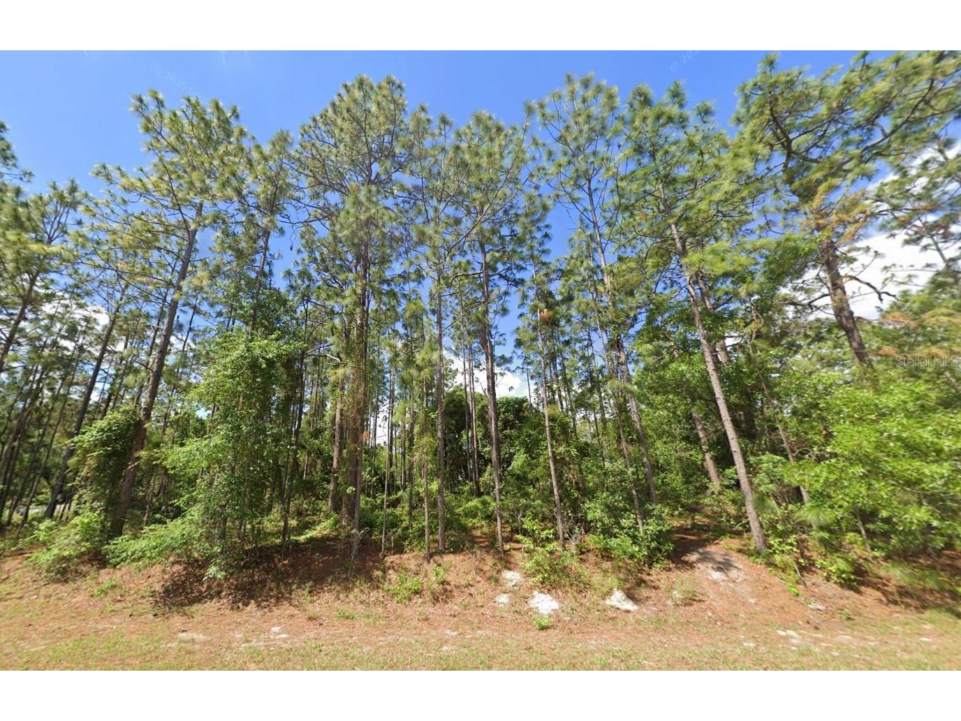 2020 Cr 243 B Wildwood FL 34785 O6396870 image2
