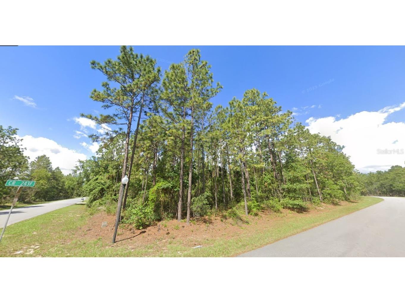 2020 Cr 243 B Wildwood FL 34785 O6396870 image3