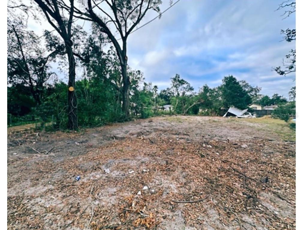 2020 E Wood Street Tampa FL 33604 T3497752 image1