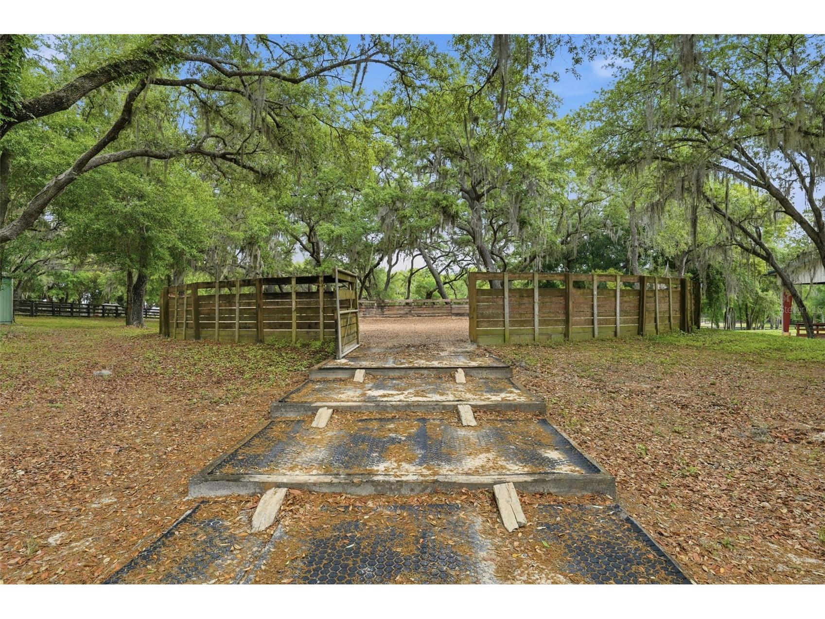 2020 Haas Road Apopka FL 32712 O6393328 image27
