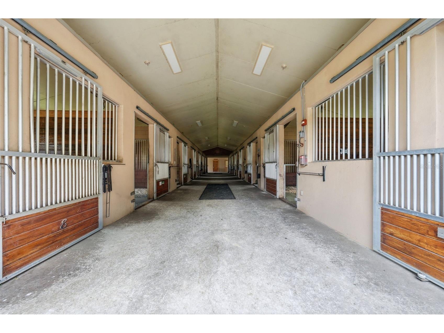 2020 Haas Road Apopka FL 32712 O6393328 image37