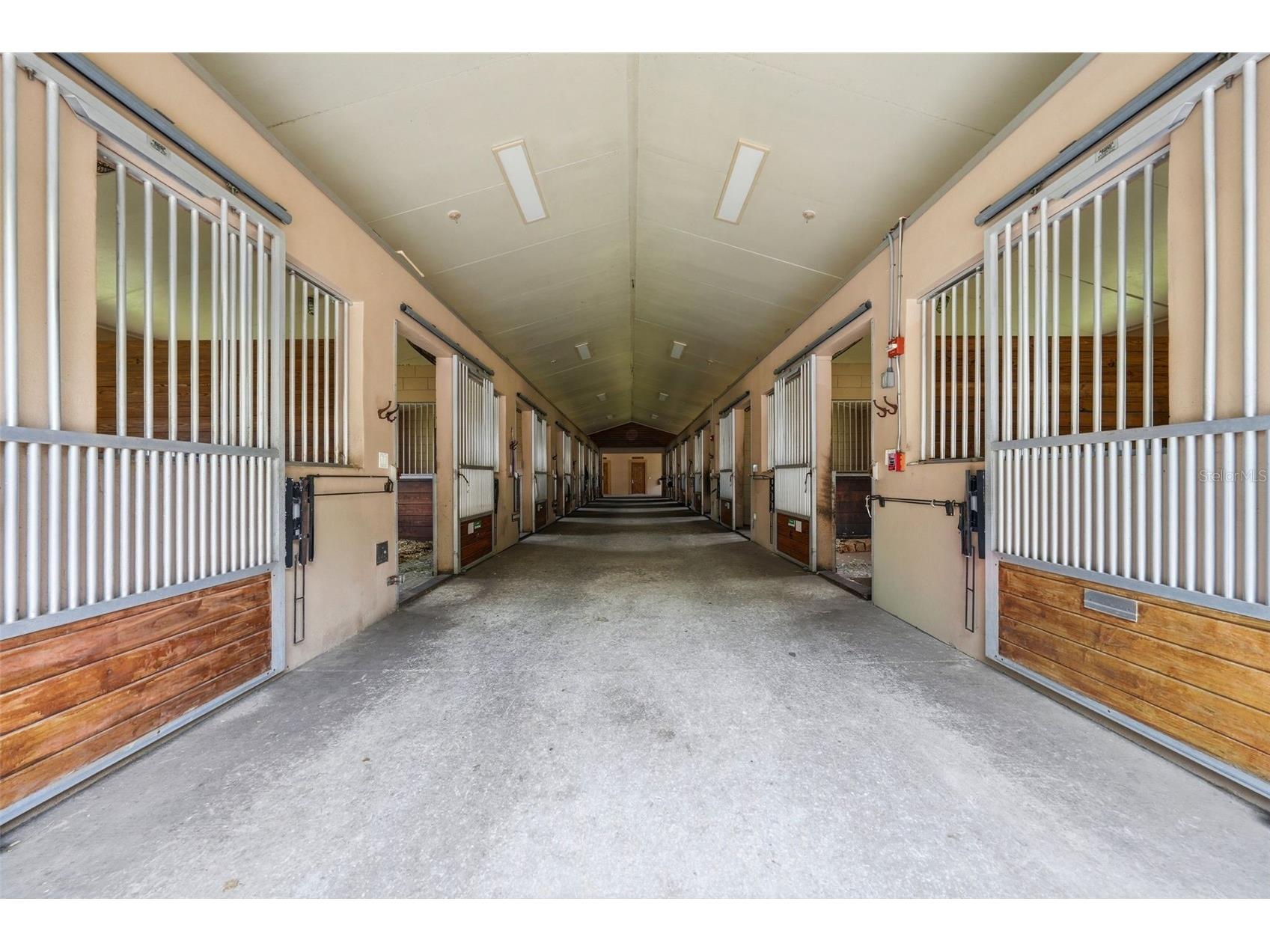 2020 Haas Road Apopka FL 32712 O6393328 image38