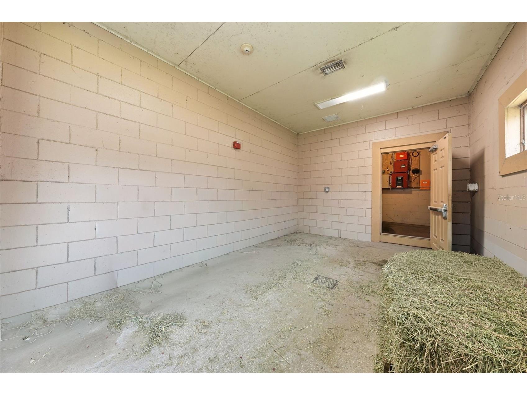 2020 Haas Road Apopka FL 32712 O6393328 image42