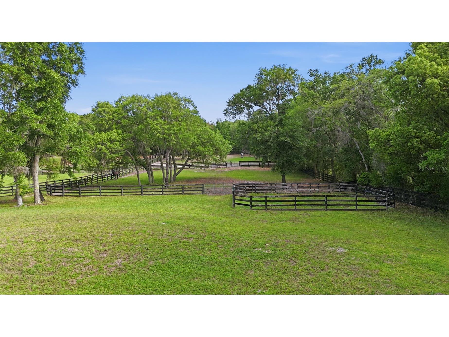 2020 Haas Road Apopka FL 32712 O6393328 image48