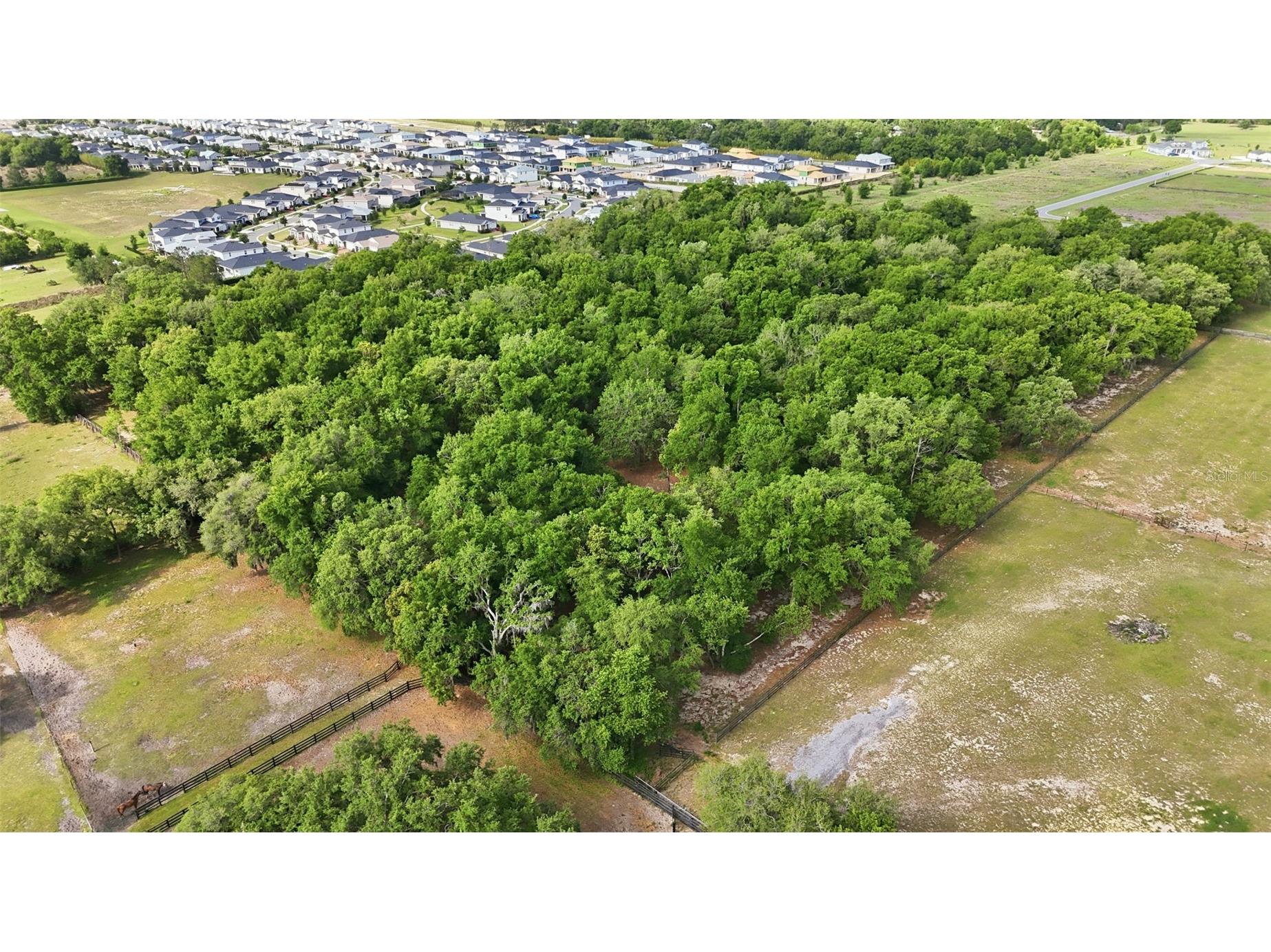 2020 Haas Road Apopka FL 32712 O6393328 image64