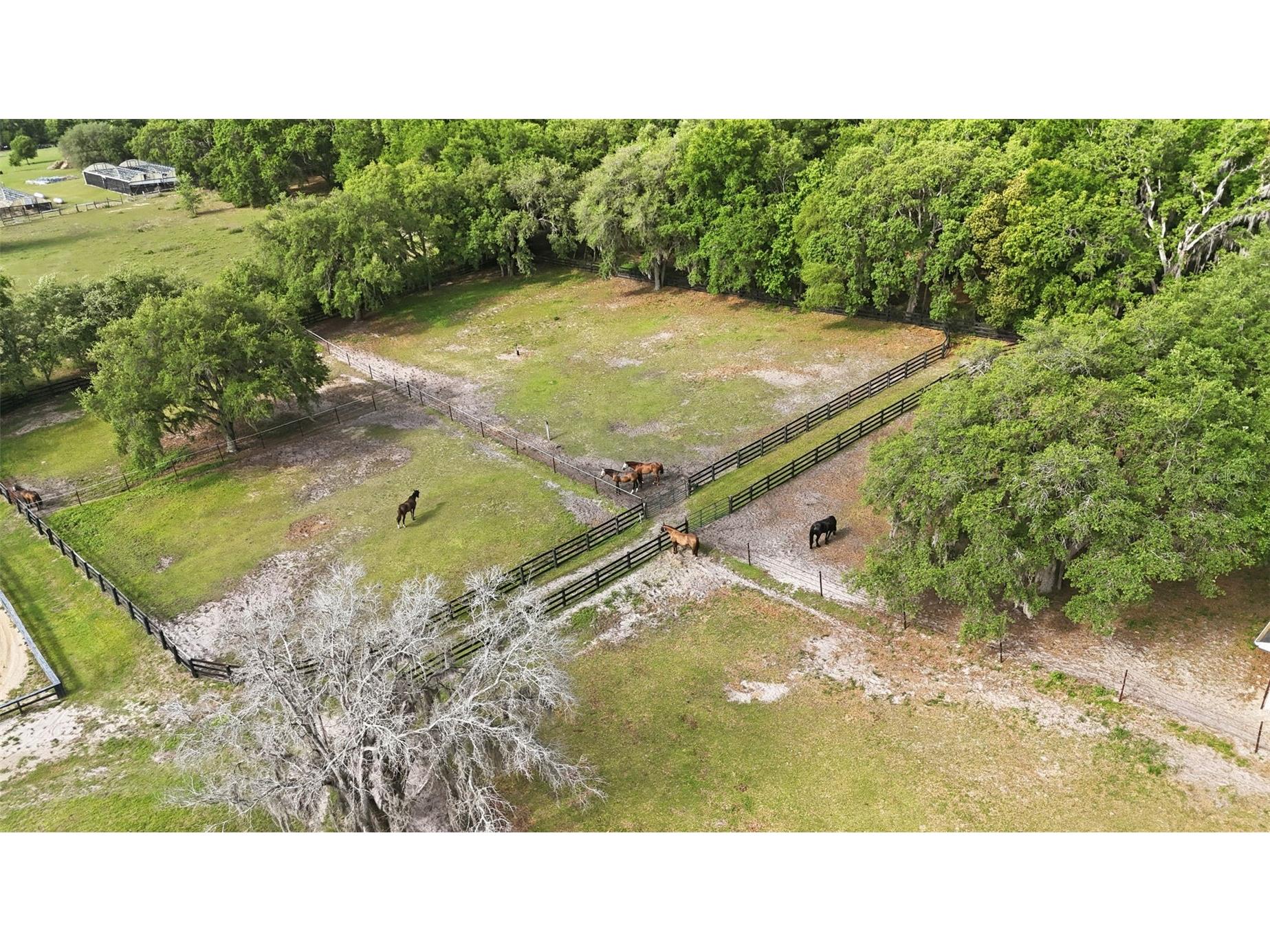 2020 Haas Road Apopka FL 32712 O6393328 image65
